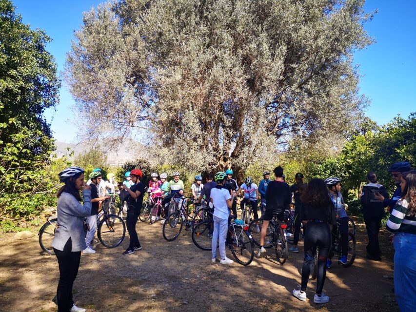 a PRIVATE ride of Favorita Park and Mondello - Favorita Park: the city’s green lung (and a smell test)