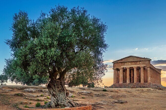 Agrigento; Valley of the Temples, Scala dei Turchi from Palermo, Private Tour - Should You Book This Palermo to Agrigento Private Tour?