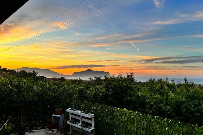 Cooking class in a villa with Palermo view - Palermo Views and Weather: When the Terrace Is the Real Star