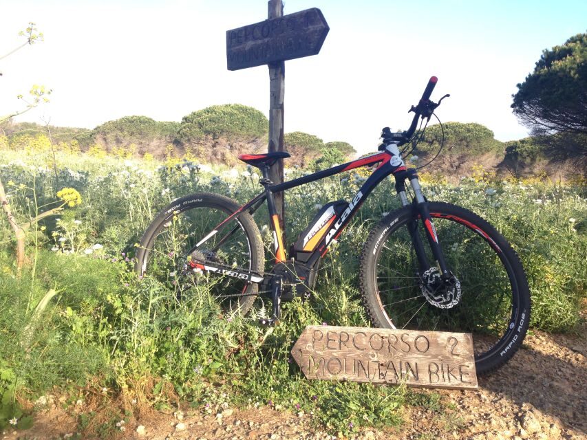 Discover MtPellegrino with a PRIVATE Guided Bike Tour - Food tasting on the mountain: local street flavors without the hunt