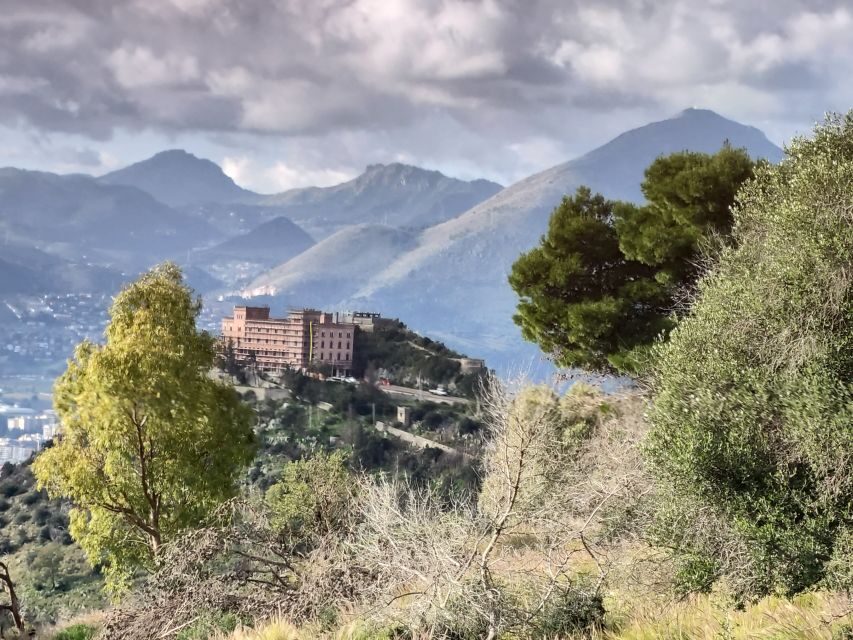 Discover MtPellegrino with a PRIVATE Guided Bike Tour - Downhill back to Palermo: paved roads, big views, and an easier finish