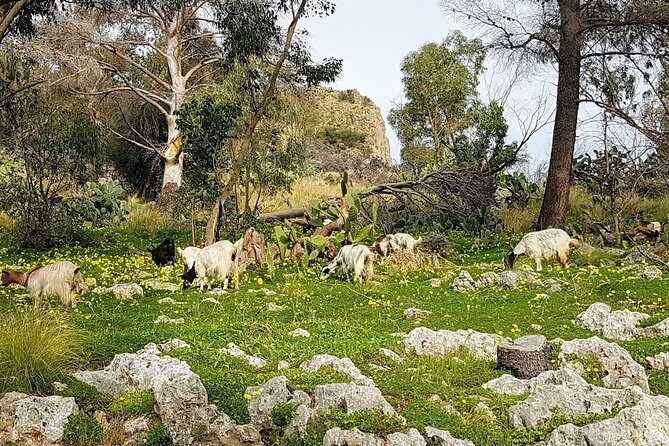 Discovering Monte Pellegrino - Why Monte Pellegrino is a Palermo bike climb you’ll remember
