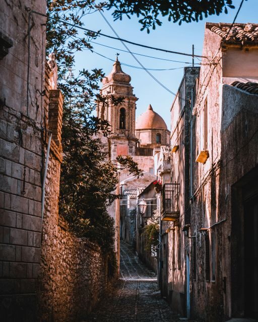 From Palermo: Day Trip to Erice, Segesta and Salt Pans - Segesta Archaeological Park: The Optional Temple/Theatre Decision
