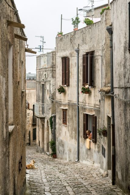 From Palermo: Day Trip to Erice, Segesta and Salt Pans - The Real Logistics: No Hotel Pickup, Planned Stops, Real-Life Flow