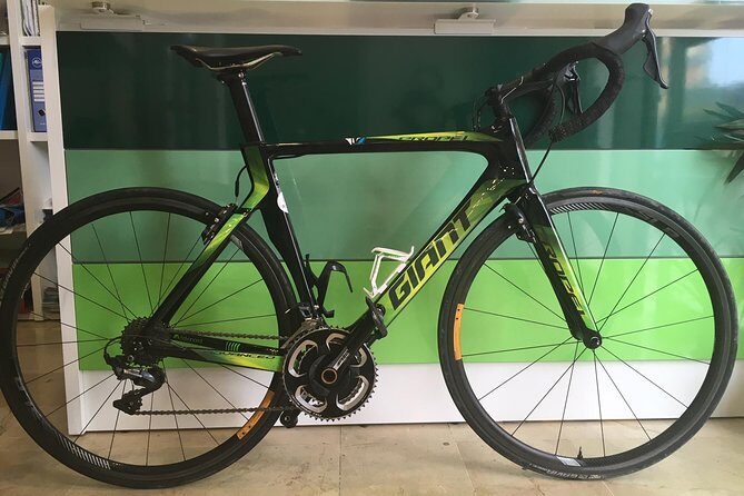 Full Carbon Road Bike Rental - Quick hits before you pedal