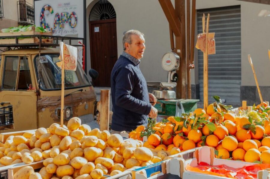 Highlights & Hidden Gems of Palermo Private Tour - The Private Guide Advantage: Better Pace, Better Answers