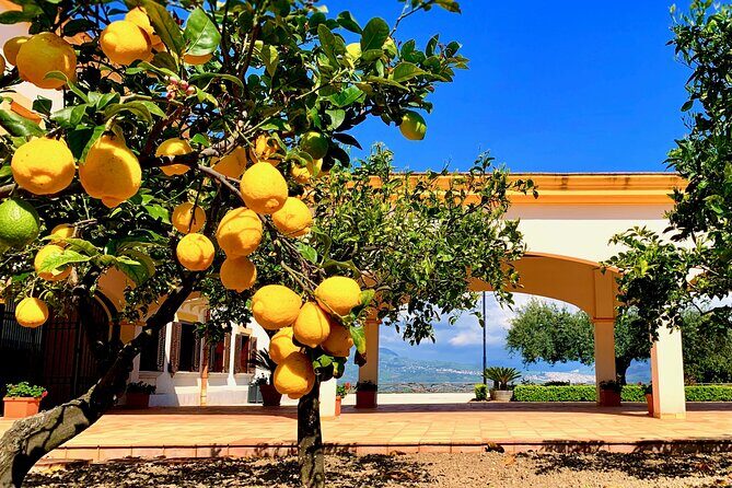 Leave the City Behind Tour with Guide Driver starts from Palermo - Leaving Palermo for real: the drive through “Sicilian Tuscany”
