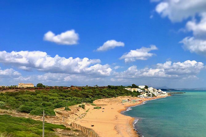 Leave the City Behind Tour with Guide Driver starts from Palermo - Castelvetrano and the EVOO tasting: Nocellara del Belice in context