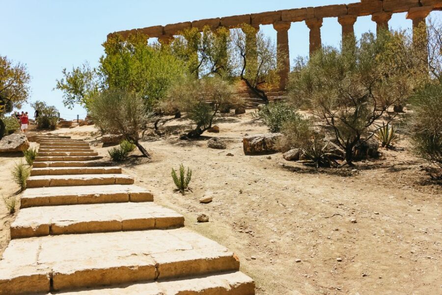 Palermo: Agrigento and the Valley of the Temples Day Tour - What to bring (and what to skip) for a day in the sun