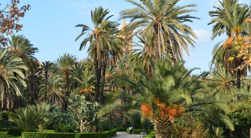 Palermo: Art and Architecture Walking Tour - Why Palermo’s big-name landmarks work best on foot