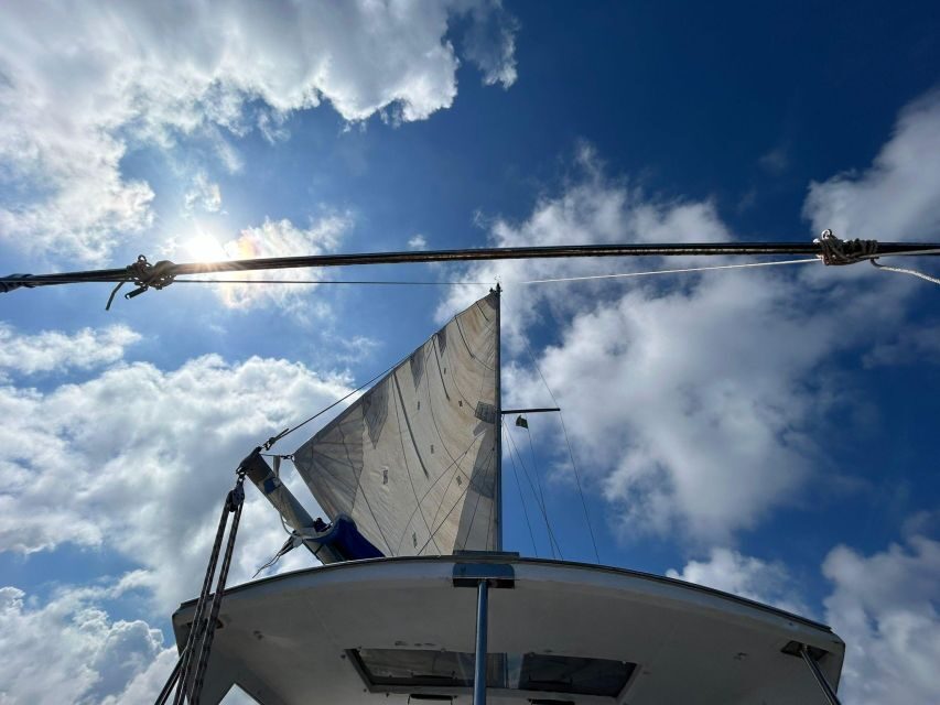 Palermo: Full-Day Snorkeling Boat Tour with Lunch and Wine - Price and value: why $124.61 can make sense here
