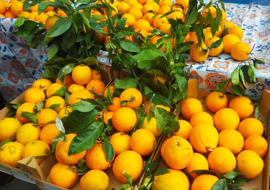Palermo: Street Food Walking Tour with Local Guide & Tasting - Where the tour starts at Teatro Massimo (and what to do first)