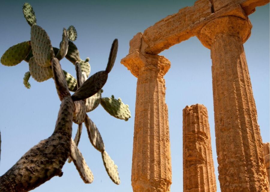 Palermo to Siracusa: stop al Valley of Temples & Roman Villa - Comfort and logistics that make the day work