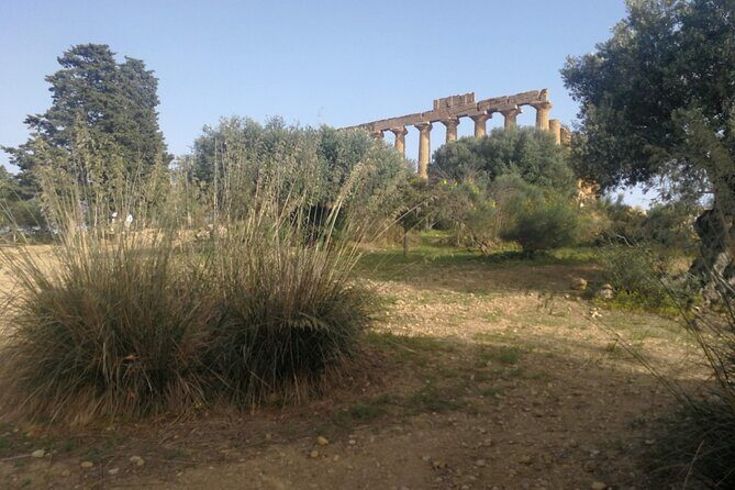 Private Tour to Segesta, Erice and Wine Tasting in Marsala - Morning Pickup in Palermo and a Fast Breakfast at Castellammare del Golfo