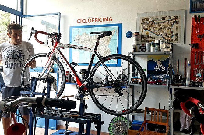 Rent road bike - Who this rental fits best (and who might want a different option)