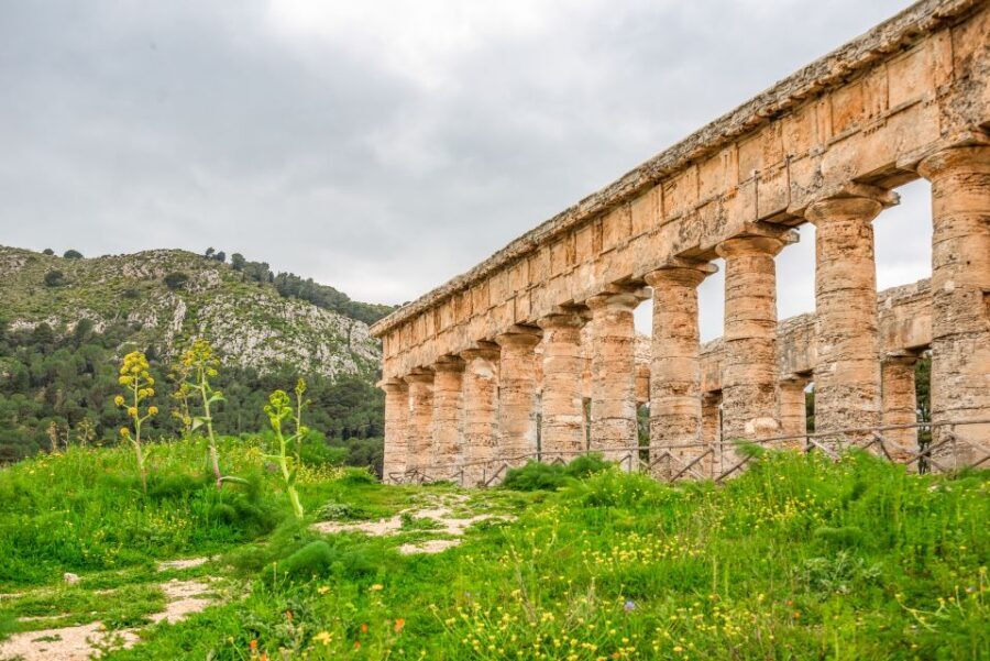 Segesta, Erice and Salt Pans Full-Day Excursion from Palermo - The Real Deal on the Driver, Not a Full Guided Tour