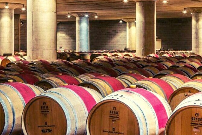 Sicilian Winery Tour with Wine Tasting from Palermo - The 2-hour tasting: how Etna and Piana degli Albanesi get compared