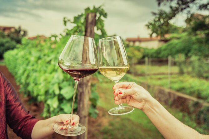 Sicilian Winery Tour with Wine Tasting from Palermo - What you are actually tasting: Viafrancia vs Stop 125