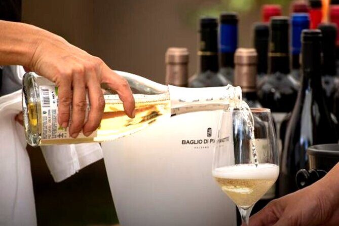 Sicilian Winery Tour with Wine Tasting from Palermo - Should you book this Sicilian Winery Tour from Palermo?